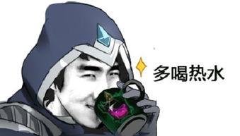 LOL老徐表情包,网络狂欢中的幽默魅力