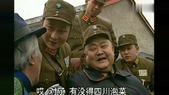 傻儿司令演员表,实力派明星齐聚一堂，演绎经典喜剧传奇